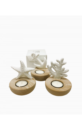 Bomboniera Matrimonio Porta Tea Light Portacandela Tema Mare Stella Marina Ancora Corallo AD Bomboniere