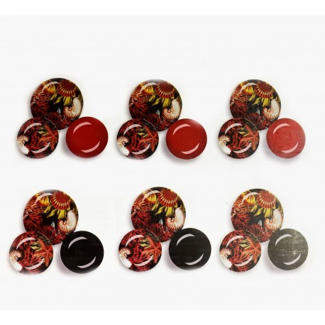 Excelsa Servizio piatti da tavola 18 pezzi nautilus