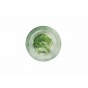 Excelsa Foliage Set 6 Bicchieri Acqua con Fondo Decorato Vetro
