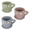 Bomboniera Matrimonio Battesimo Comunione Tazza Portapiante 3 Colori Assortiti