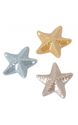 Bomboniera Matrimonio Battesimo Compleanno Magnete Stella Marina Porcellana 3 Colori Assortiti