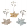 Bomboniera Matrimonio Battesimo Compleanno Memoclip Segnaposto Stella Marina Porcellana 3 Colori Assortiti