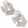 Bomboniera Matrimonio Segnaposto Memoclip Coppia Sposi Bacio 2 Assortiti