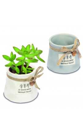 Bomboniera Solidale Matrimonio Portapiante 2 Modelli Assortiti QFTERRA Quadrifoglio