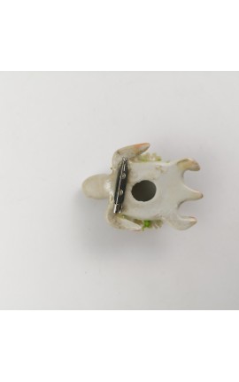 Spilla Tartaruga in Ceramica