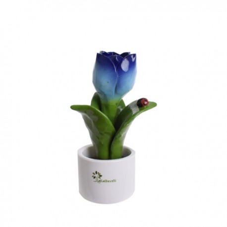 Bomboniera Piantina Tulipani Sfumati Capodimonte Gli Alberelli