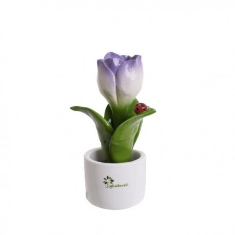 Bomboniera Piantina Tulipani Sfumati Capodimonte Gli Alberelli