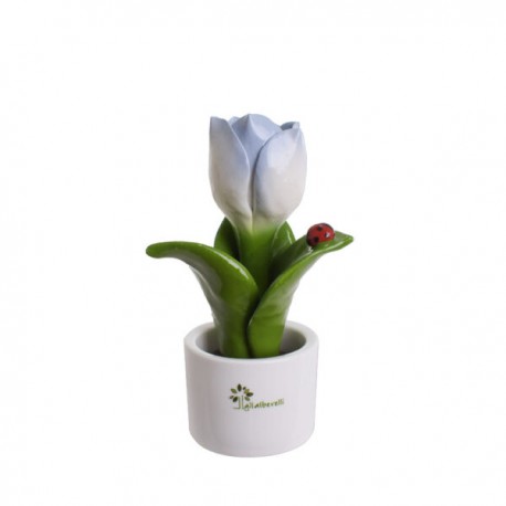 Bomboniera Piantina Tulipani Sfumati Capodimonte Gli Alberelli