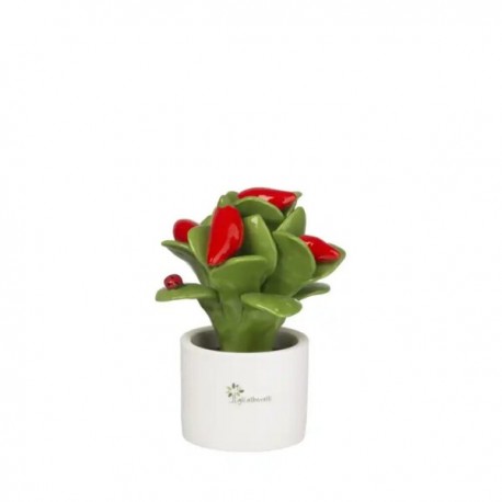 Bomboniera Piantina Multi Frutti Peperoncino Capodimonte Gli Alberelli