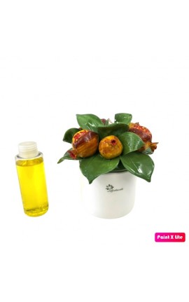 Bomboniera Profumartore Albero Capodimonte Gli Alberelli