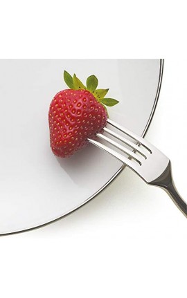 Excelsa Platinum Servizio Piatti 18 Pezzi, Porcellana, Bianchi con Bordo Argento