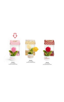 Bomboniera Comunione Battesimo Compleanno Vasetto Tulipano Rosso Plastica e Lana Con Box