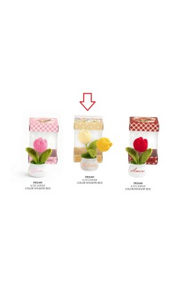 Bomboniera Comunione Battesimo Compleanno Vasetto Tulipano Rosso Plastica e Lana Con Box