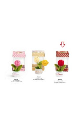 Bomboniera Comunione Battesimo Compleanno Vasetto Tulipano Rosso Plastica e Lana Con Box