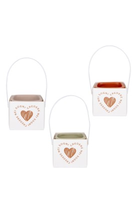 Bomboniera Matrimonio Comunione Vasetto Porta piante in Porcellana 3 Colori Assortiti con Gift Box
