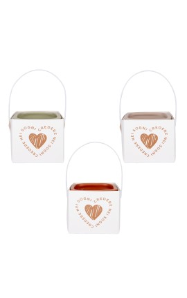 Bomboniera Matrimonio Comunione Vasetto Porta piante in Porcellana 3 Colori Assortiti h.8 Cm con Gift Box