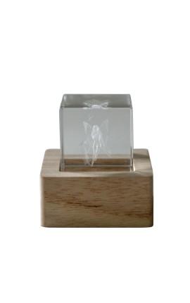 Bomboniera Battesimo Compleanno Comunione Lampada Led Cubo Cristallo Fatina