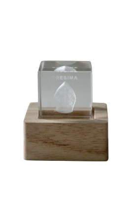 Bomboniera Cresima Lampada Led Cubo Cristallo Mitria Bastone Cresima
