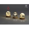 Bomboniera Comunione Compleanno Globo Su Base Led Pallone con Box