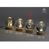Bomboniera Matrimonio  Globo Su Base Led Tulipani con Box
