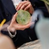 Bomboniera Battesimo Nascita Compleanno Profumatore Diffusore Campana Celeste Fiocco Con Astuccio