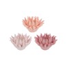 Bomboniera Matrimonio Compleanno Candela Corallo 3 Colori Assortiti Con Box