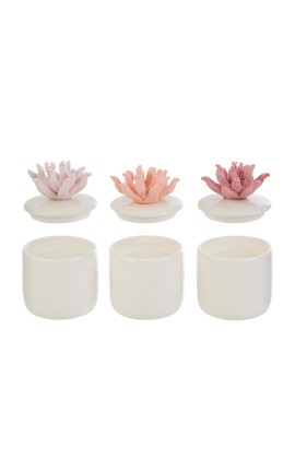 Bomboniera Matrimonio Compleanno Scatola Candela Corallo 3 Colori Assortiti Con Box