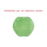 Bomboniera Matrimonio Vaso Vetro Fiore Verde Con Shopper