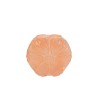 Bomboniera Matrimonio Vaso Vetro Fiore Salmone Con Shopper