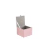 Bomboniera Battesimo Compleanno Nascita Scatola Vetro Rosa 9x9xh.7 Cm Decoro Mongolfiera Con Shopper