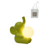 Bomboniera Battesimo Elefantino Lampada Led Porcellana Verde Con Bag