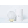 Bomboniera Matrimonio Comunione Lampada Palla Led Vetro  Con Box Cilindrica