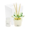 Bomboniera Matrimonio Comunione Battesimo Profumatore Diffusore Piantina Verde Petali Swarosky Con Astuccio
