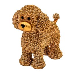 Bomboniera Battesimo Compleanno Cagnolino Cane Barboncino Oro