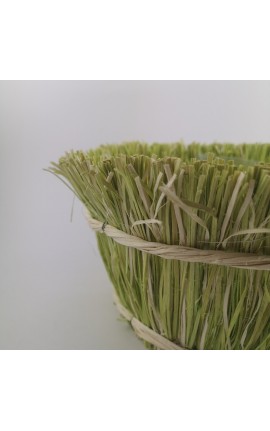Cestino in Rafia Colorata Verde