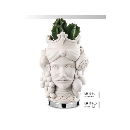 Vaso Testa di Moro Re Bianco Pianta Inclusa h.9,5 cm