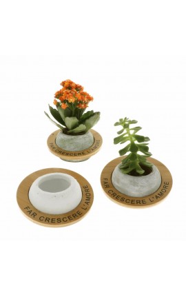 Bomboniera Matrimonio Porta Piante In Terracotta Con Decoro Bamboo Venere 3 Assortiti